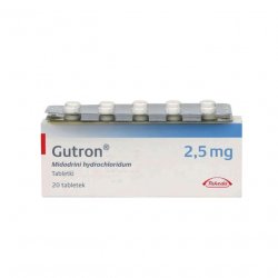 Гутрон таблетки 2,5 мг. №20 в Краснодаре и области фото